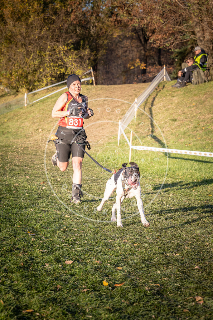 CaniXpix_0L8A0731 | Hundefotografie, Tierfotograf, Pfotenfotografie, Fotoshooting Hund, Hunde Portrait, Hundesport, Hundeportraits, Heideshooting, Hunde, Sportfotograf, Hundefotograf, Turnierhundsport, THS,  - Realisiert mit Pictrs.com