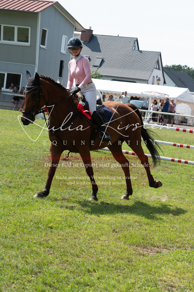 DSC_0698 | Pferde- und Turnierfotografie in Westsachsen. Pferdeportraits, Auftragszeichnungen und intuitive Kunst.