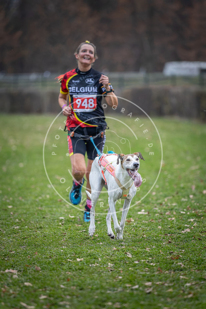 CaniXpix_DV3A7316 | Hundefotografie, Tierfotograf, Pfotenfotografie, Fotoshooting Hund, Hunde Portrait, Hundesport, Hundeportraits, Heideshooting, Hunde, Sportfotograf, Hundefotograf, Turnierhundsport, THS,  - Realisiert mit Pictrs.com