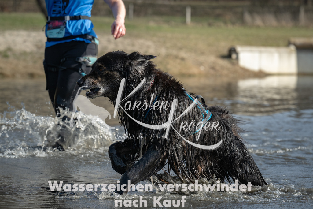 1303_ZZ94188 | kk-dogfotos