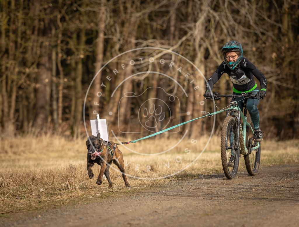 DV3A4498 | Hundefotografie, Tierfotograf, Pfotenfotografie, Fotoshooting Hund, Hunde Portrait, Hundesport, Hundeportraits, Heideshooting, Hunde, Sportfotograf, Hundefotograf, Turnierhundsport, THS,  - Realisiert mit Pictrs.com