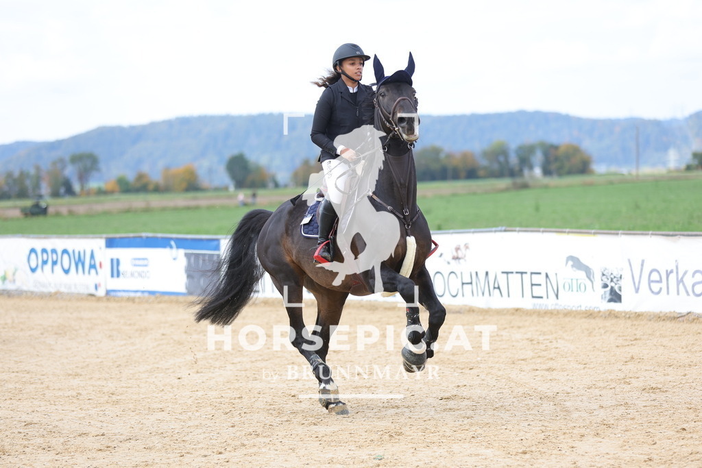 0P6A9409 | Willkommen bei Brunnmayr - Design & Fotografie – Ihrem Spezialisten für Reitturniere und Pferdeveranstaltungen in Oberösterreich, Salzburg und Bayern! Seit über 17 Jahren sind wir leidenschaftlich dabei.