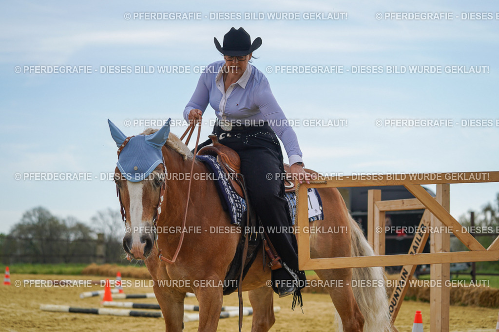 DSC02447 | Pferdegrafie