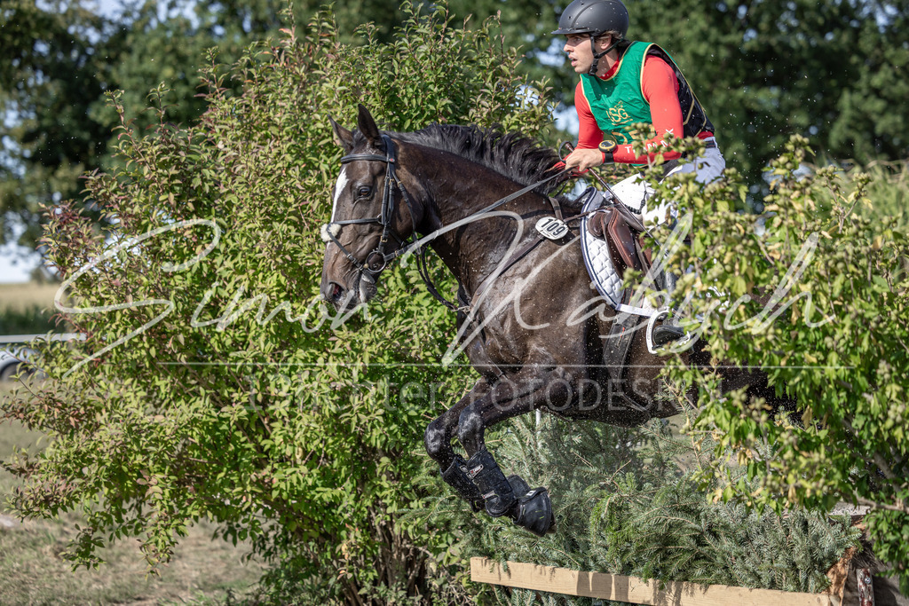 20250907-_3LI2828 | Tierfotografie Pferde, Hunde, Katzen, Haustiere.
Turnierfotografie Reitturniere, Reiten, Springreiten, Dressur in Hanau, dem Main-Kinzig-Kreis und dem Rhein-Main- Gebiet um Frankfurt