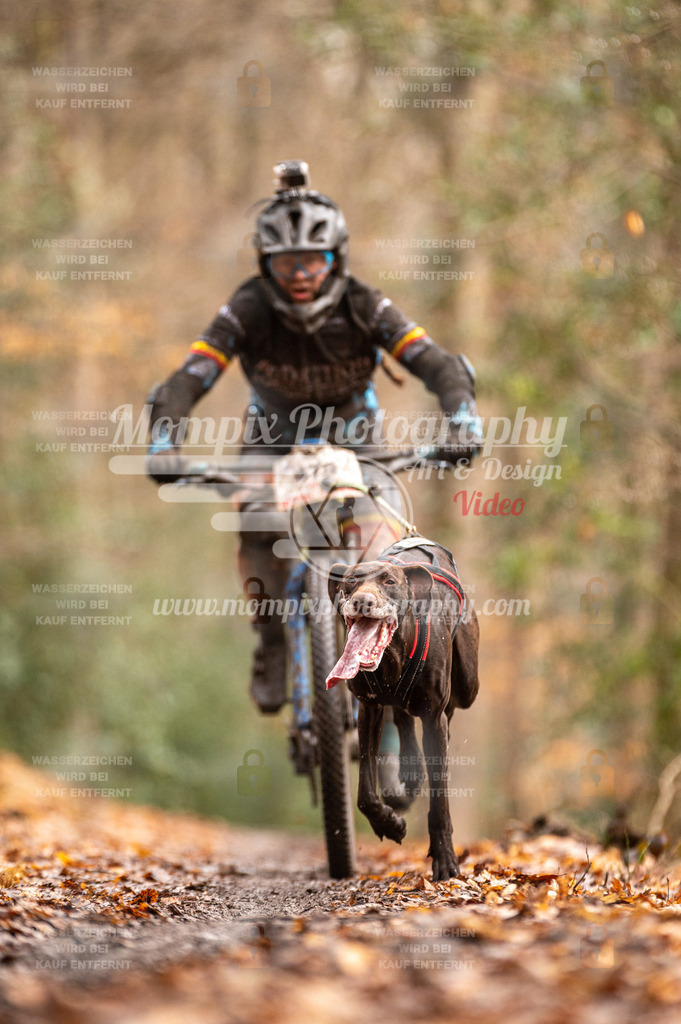SPA_2023_DIM_Bike-51 | PayLife
