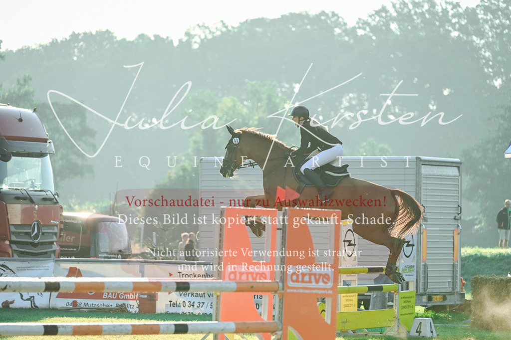 DSC_3930 | Pferde- und Turnierfotografie in Westsachsen. Pferdeportraits, Auftragszeichnungen und intuitive Kunst.
