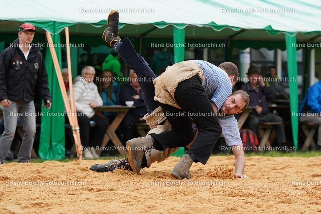 20220424-DSC09002 | René Burch leidenschaftlicher Fotograf aus Kerns in Obwalden.  Hier finden sie Sport, Landschaft und Natur Fotografie.
 - Realisiert mit Pictrs.com