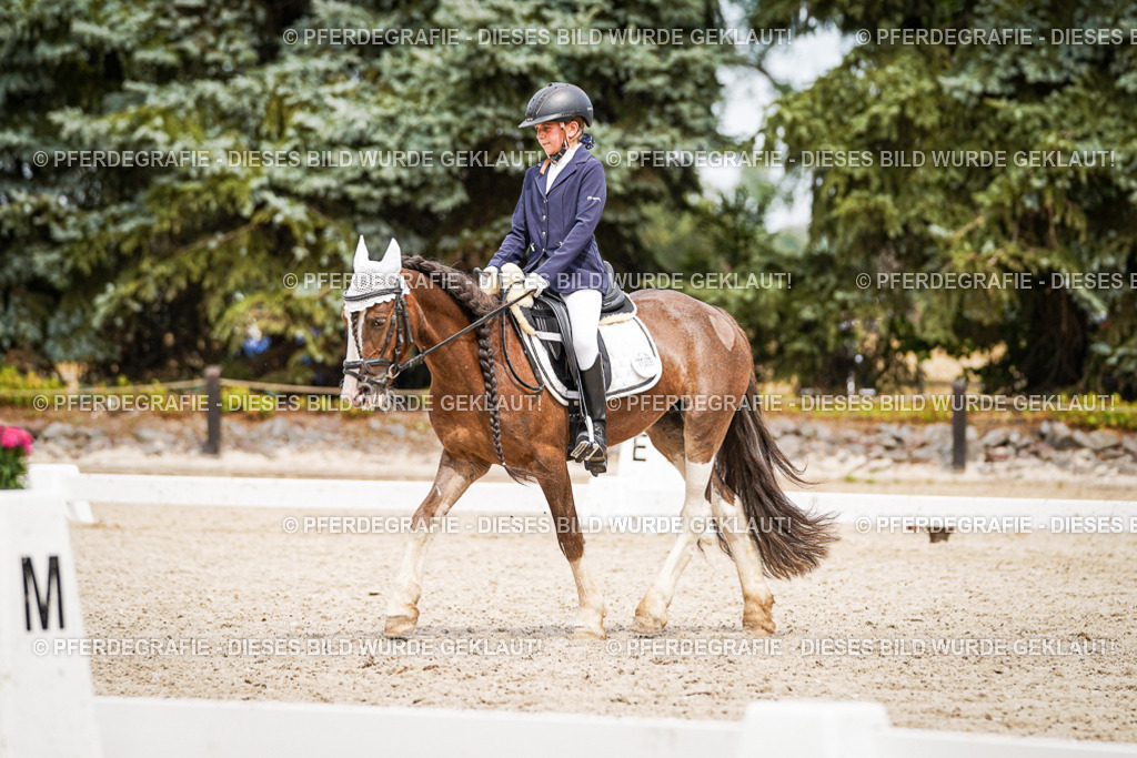 DSC04411 | Pferdegrafie