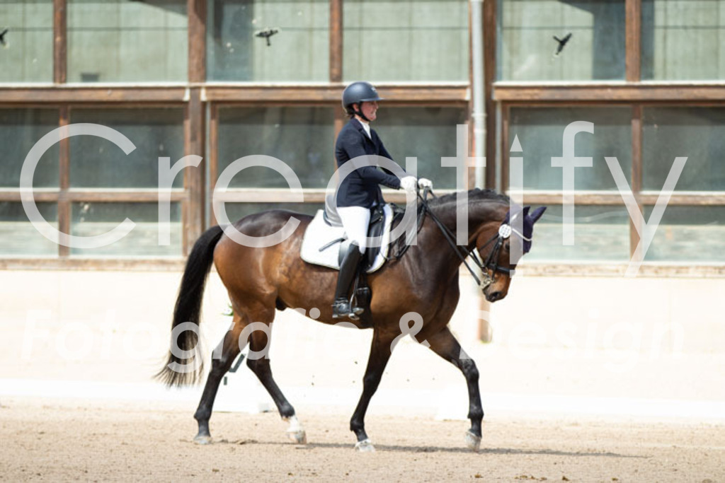 IMG_5650 | Creatify Fotografie