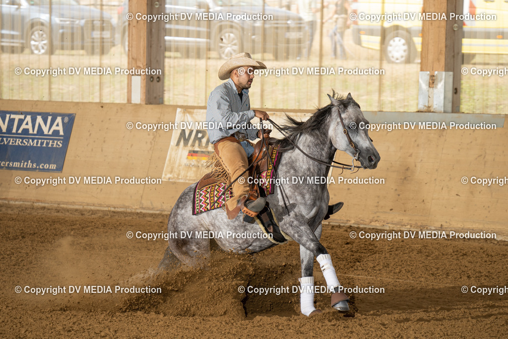 LAU01583 | dv-media-shop - Realisiert mit Pictrs.com