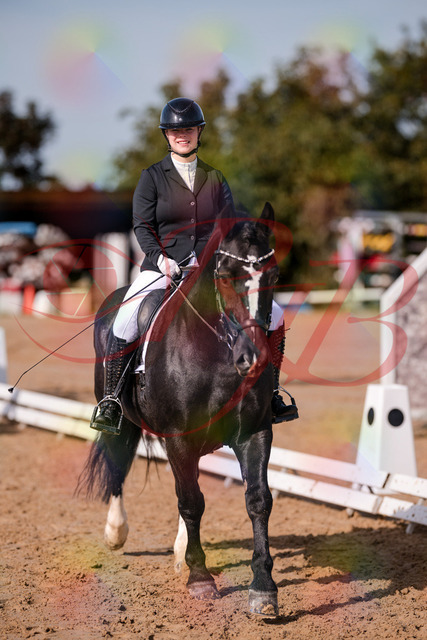 2026_10_03_Siefer-Hof_120511_Z81_06822823 | Professionelle Reitsport-, Turnier- und Eventfotografie von Robert Broda. Galerien mit ausgewählten und bearbeiteten Bildern direkt online ansehen und bestellen.