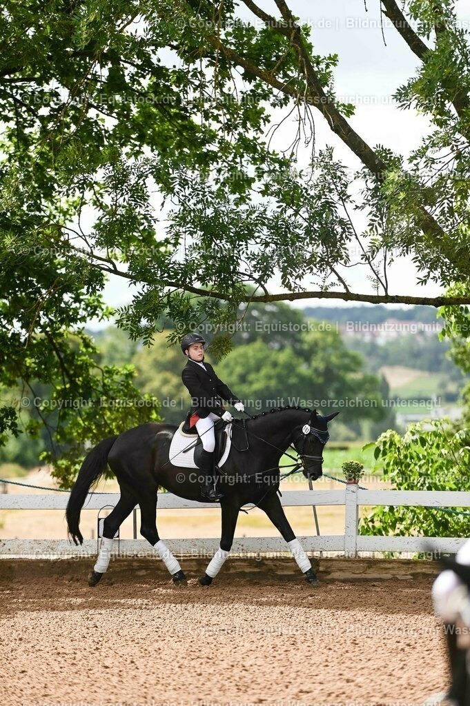 20230716_10-1_Reiter-WB Schritt - Trab - Galopp_0153 | equistock