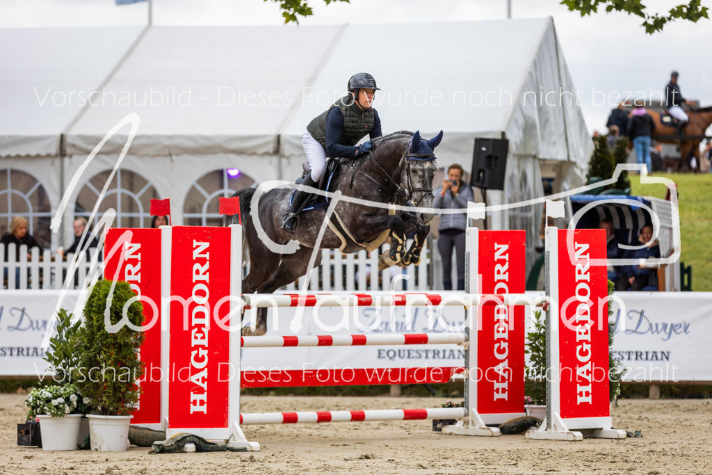 BHO-2PhSpr-M-5-2337 | MomenTaufnahmen Pferdesportfotos