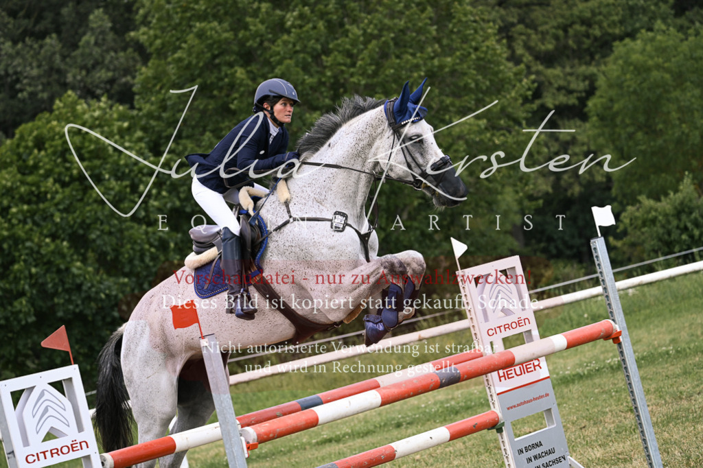 DSC_0941 | Pferde- und Turnierfotografie in Westsachsen. Pferdeportraits, Auftragszeichnungen und intuitive Kunst.