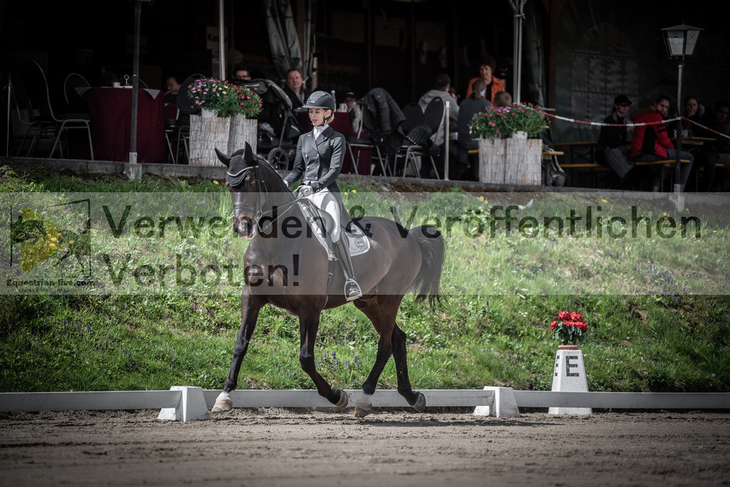 DSC_2211 | equestrian-live-com