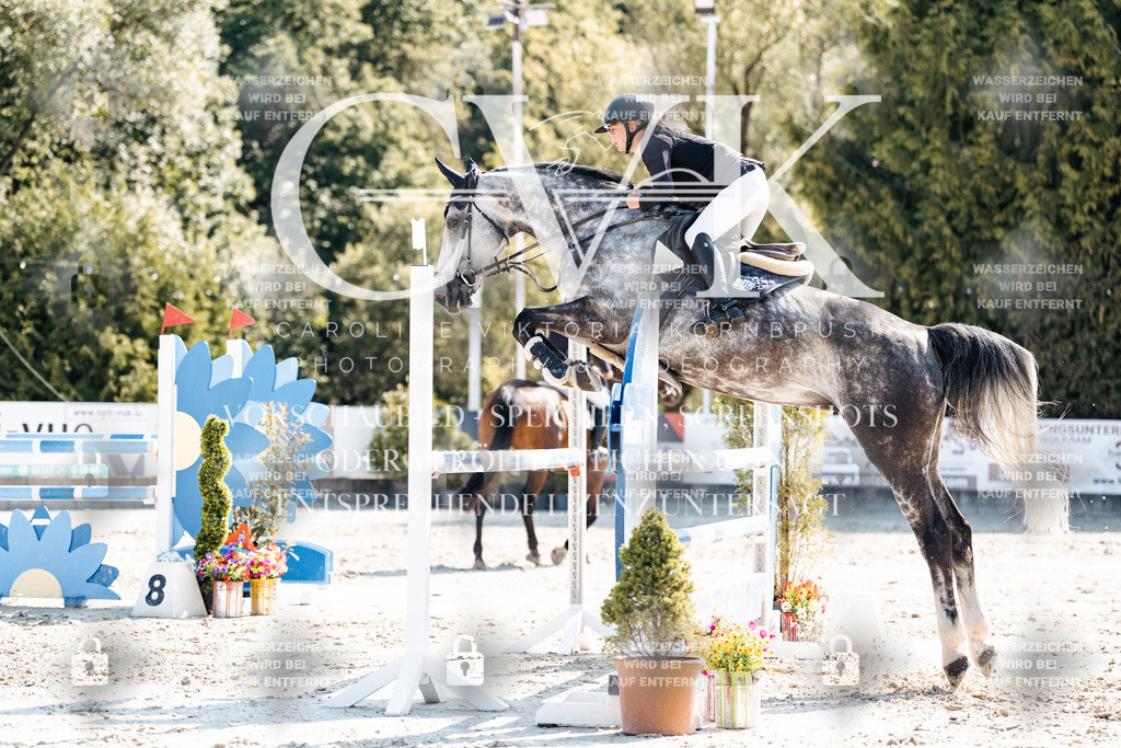 CK902647 | Turnierfotografie Pferdefotografie Trier Rheinland-Pfalz Pferdesport Reitsport Tierfotografie Sportfotografie Pferdevideo Pferdevideografie Equestrianvideography equestrianphotography  - Realisiert mit Pictrs.com