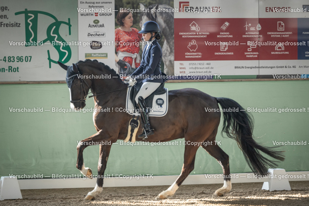 _D5A0673 | Emotionale Pferde- & People-Fotografie rund um Heidelberg, Leimen & Umgebung. Natürliche Fotos von Pferd, Mensch & Familie. Jetzt Termin sichern!