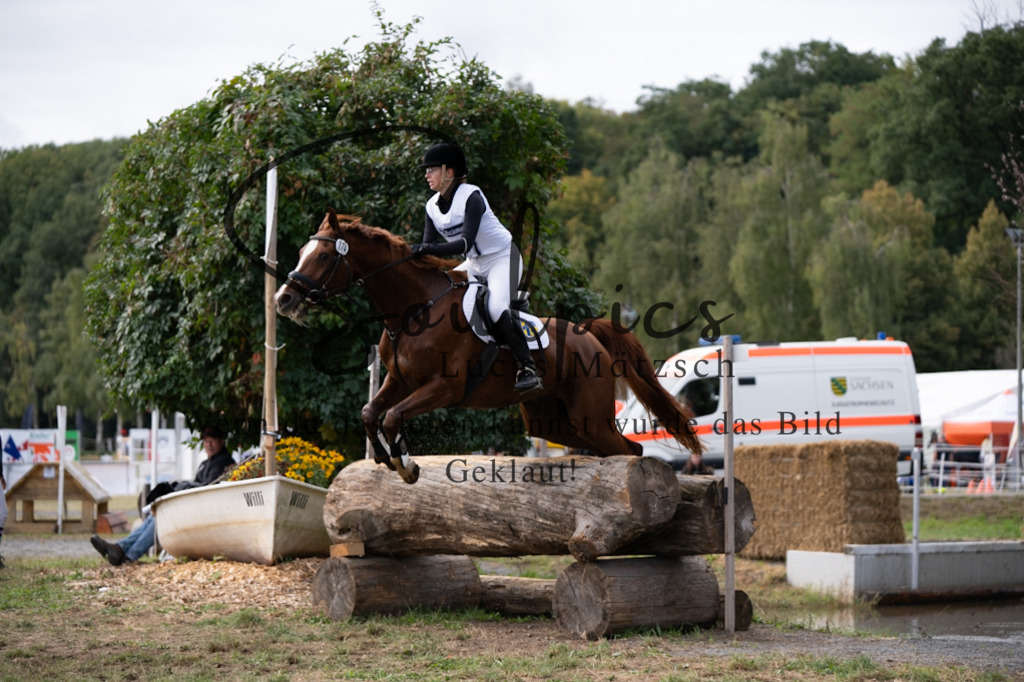 A7V00895 | Pferdefotograf