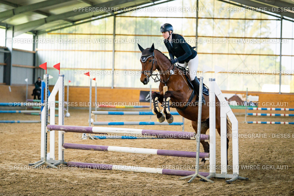 DSC00541 | Pferdegrafie