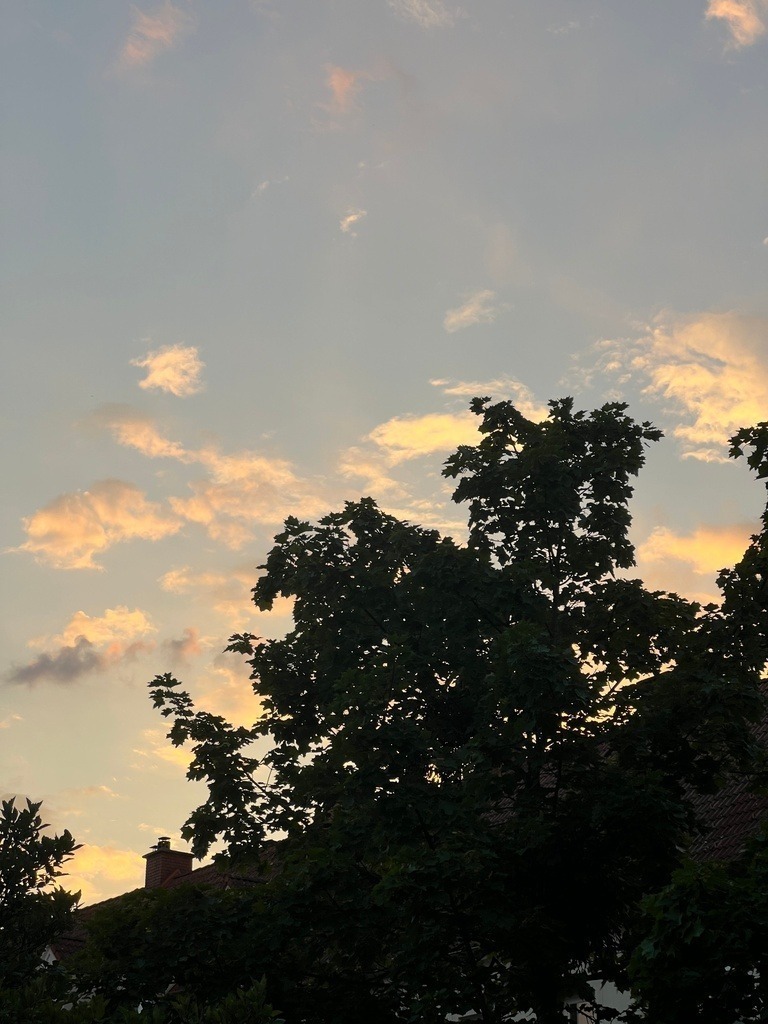 IMG_8043 | ace - Realisiert mit Pictrs.com