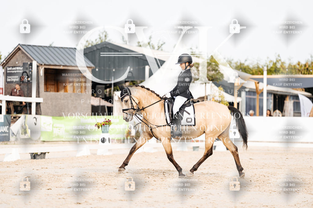 CK904293 | Turnierfotografie Pferdefotografie Trier Rheinland-Pfalz Pferdesport Reitsport Tierfotografie Sportfotografie Pferdevideo Pferdevideografie Equestrianvideography equestrianphotography  - Realisiert mit Pictrs.com
