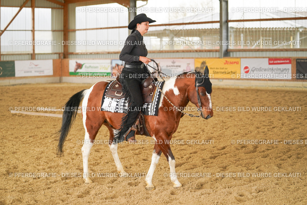 DSC04348 | Pferdegrafie