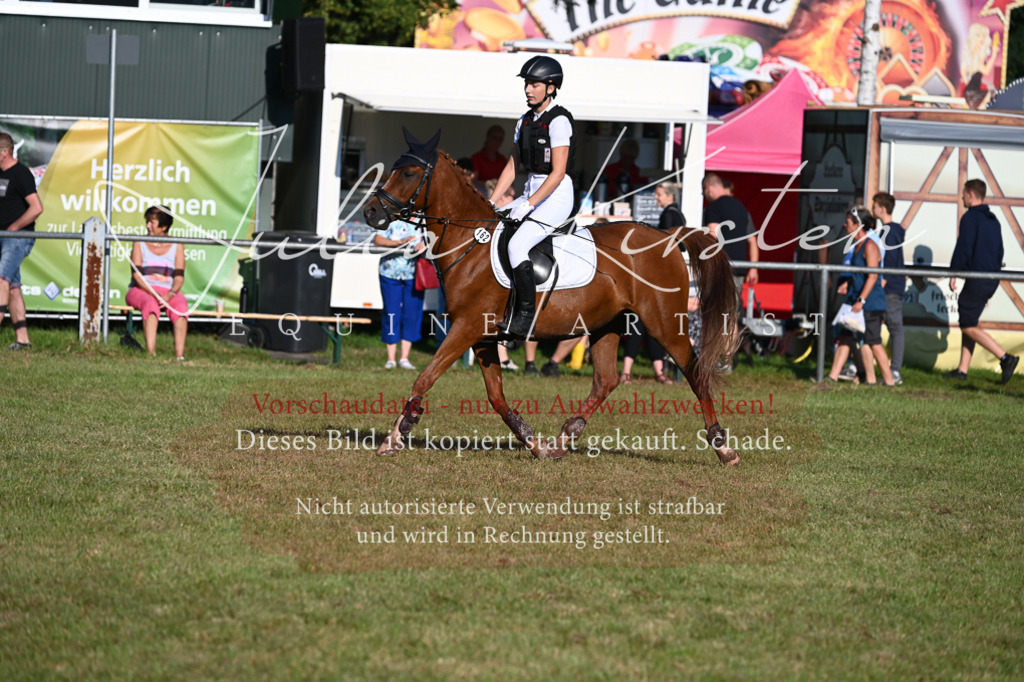 DSC_4790 | Pferde- und Turnierfotografie in Westsachsen. Pferdeportraits, Auftragszeichnungen und intuitive Kunst.