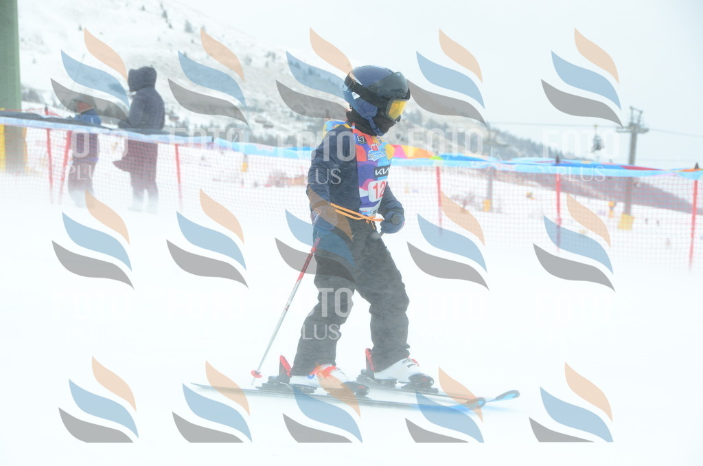 DSC_1278 | holidayphoto