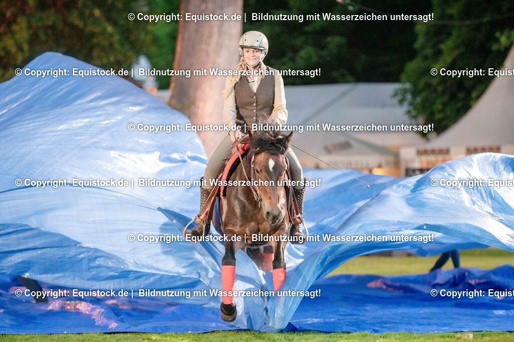 20250606_Lange-Pferdenacht_1006 | Foto: Thomas Hartig