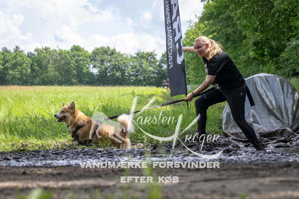 1240_ZZ93007 | kk-dogfotos