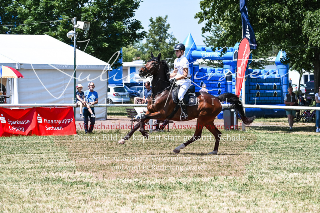 DSC_0377 | Pferde- und Turnierfotografie in Westsachsen. Pferdeportraits, Auftragszeichnungen und intuitive Kunst.
