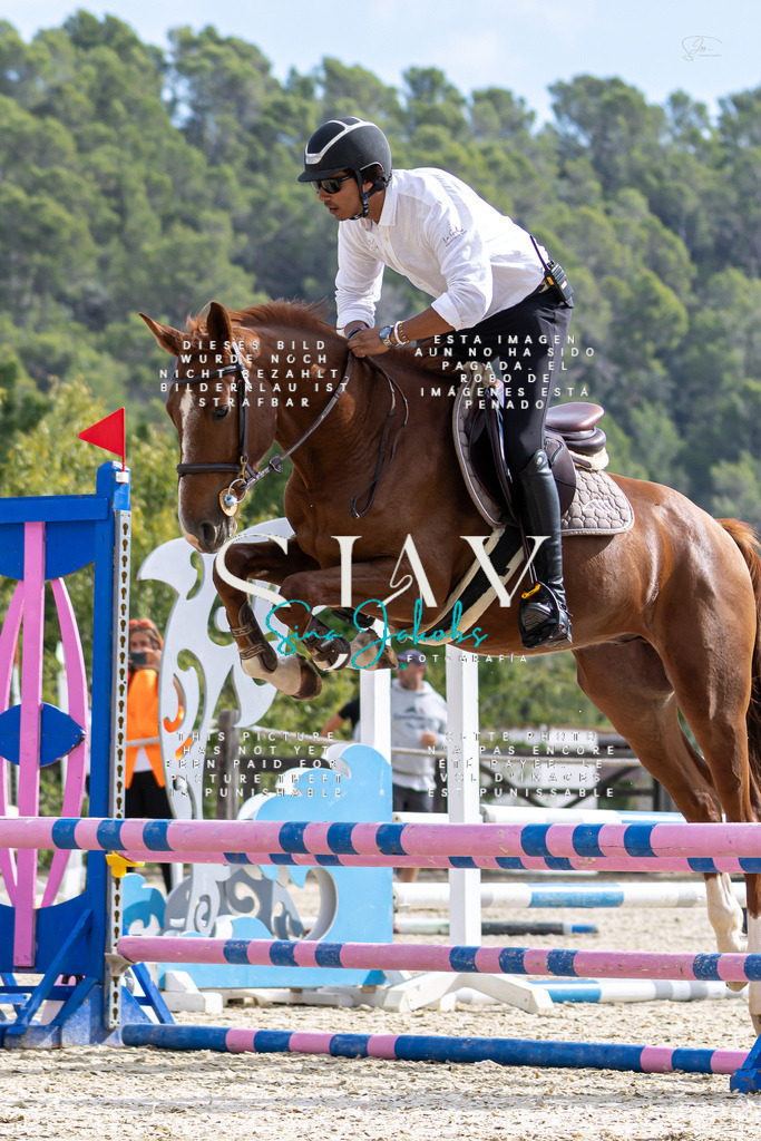 IMG_2450-2 | s-jay-photography - Realisiert mit Pictrs.com