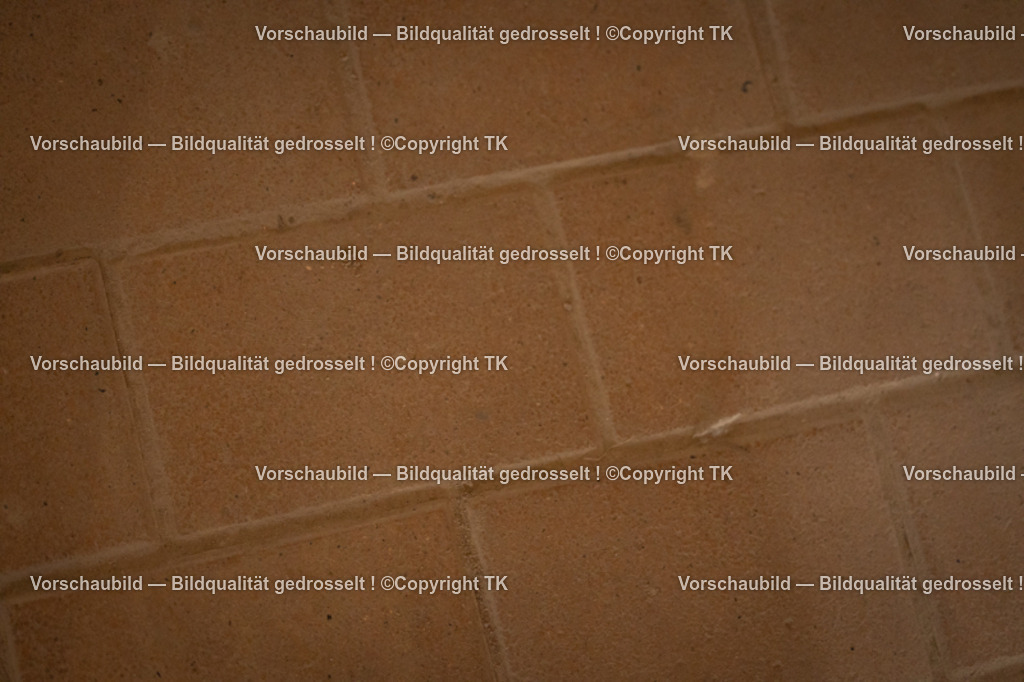 _D5A8806 | Emotionale Pferde- & People-Fotografie rund um Heidelberg, Leimen & Umgebung. Natürliche Fotos von Pferd, Mensch & Familie. Jetzt Termin sichern!