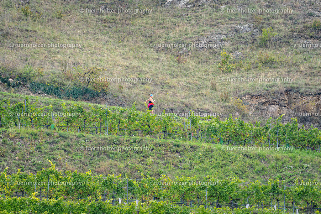 fuernholzer_251004-C3-333 | © Christian Fuernholzer | fuernholzer photography