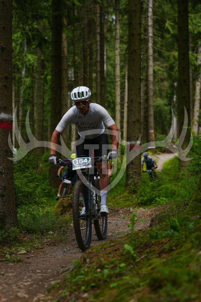 FC603559 | Fotogalerie der Treibjagd im Dunkelwald - Dein MTB Etappenrennen im Erzgebirge - Realisiert mit Pictrs.com