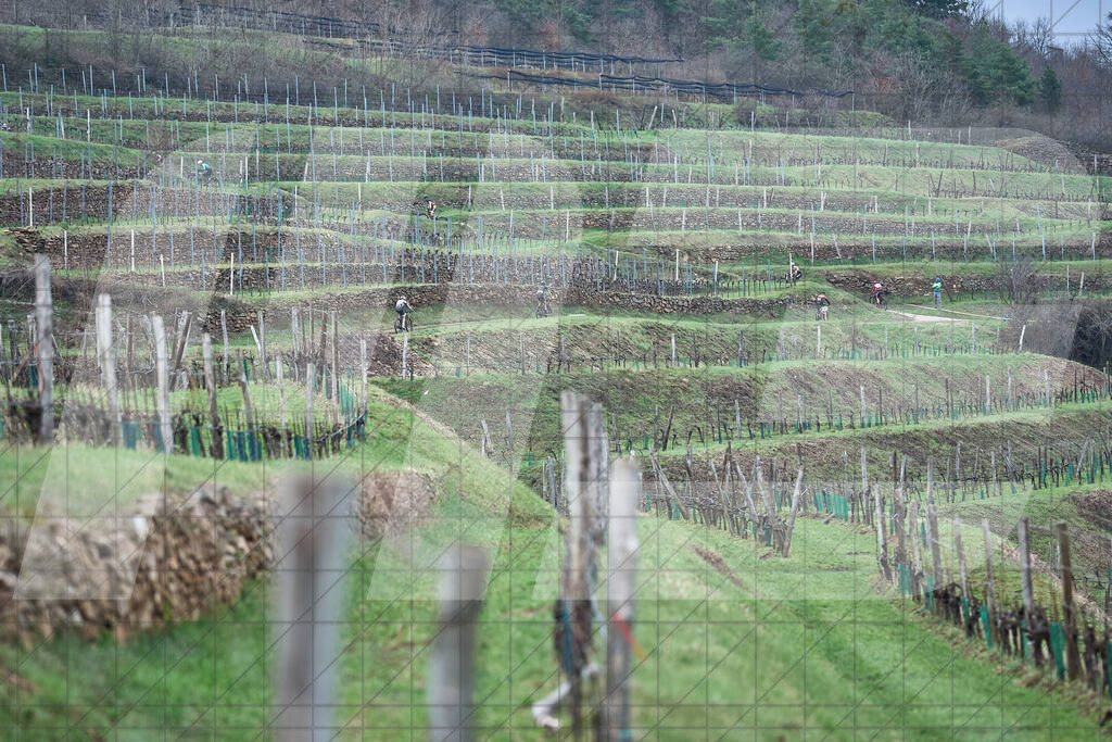 33. KTM Kamptal Trophy | 30.03.2025: 33. KTM Kamptal Trophy in Zöbing, Niederösterreich, ÖsterreichFoto: © 2025 Martin Bihounek / martinbihounek.comInsta: @martinbihounekcomFB: @martinbihounekphotography