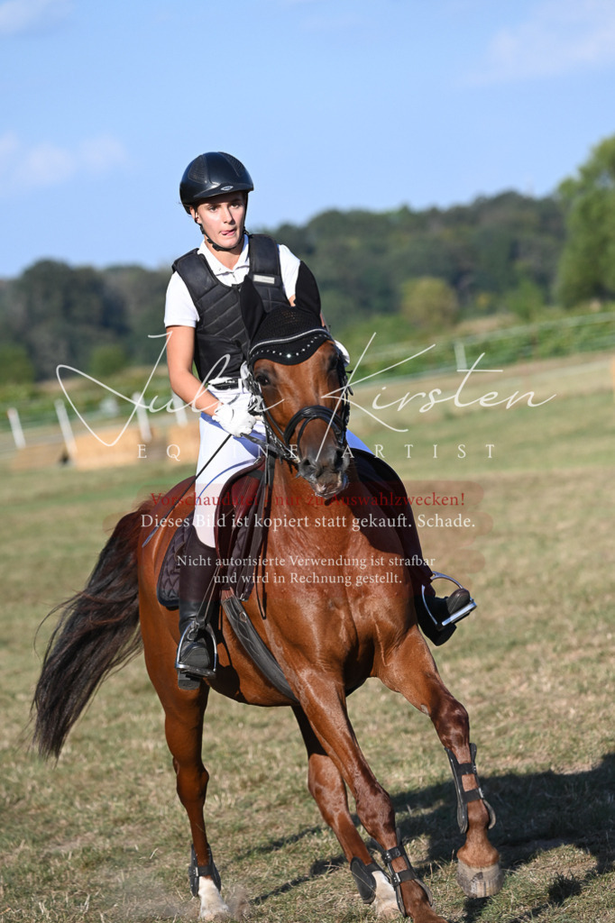 DSC_9052-2 | Pferde- und Turnierfotografie in Westsachsen. Pferdeportraits, Auftragszeichnungen und intuitive Kunst.