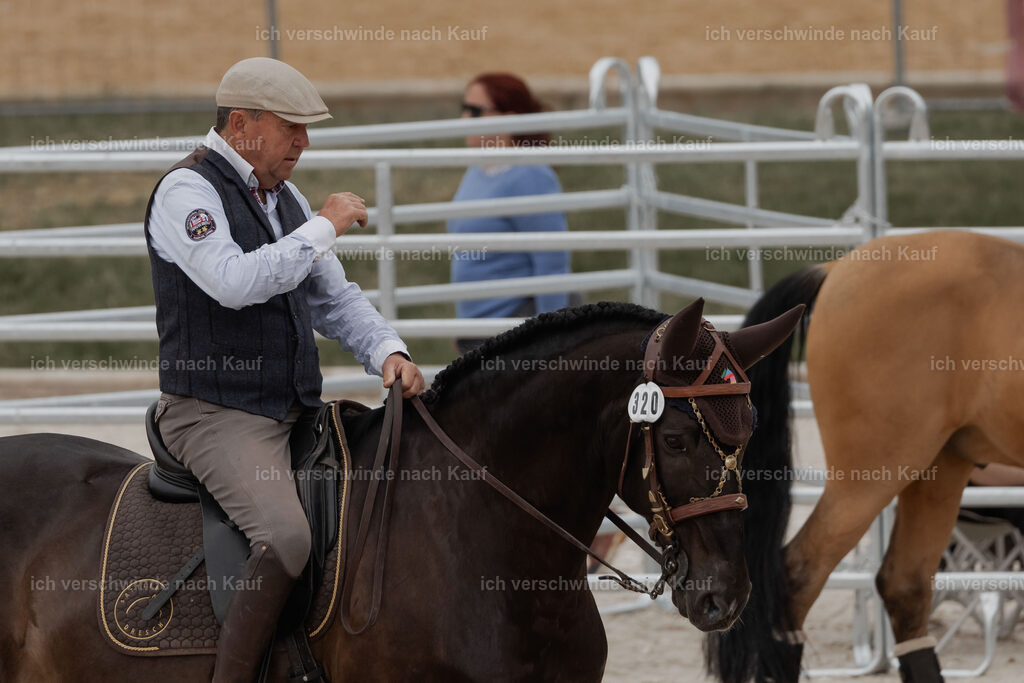 WE__Stoib_Rinder_PI2025_3047 | Pferd International München 2025