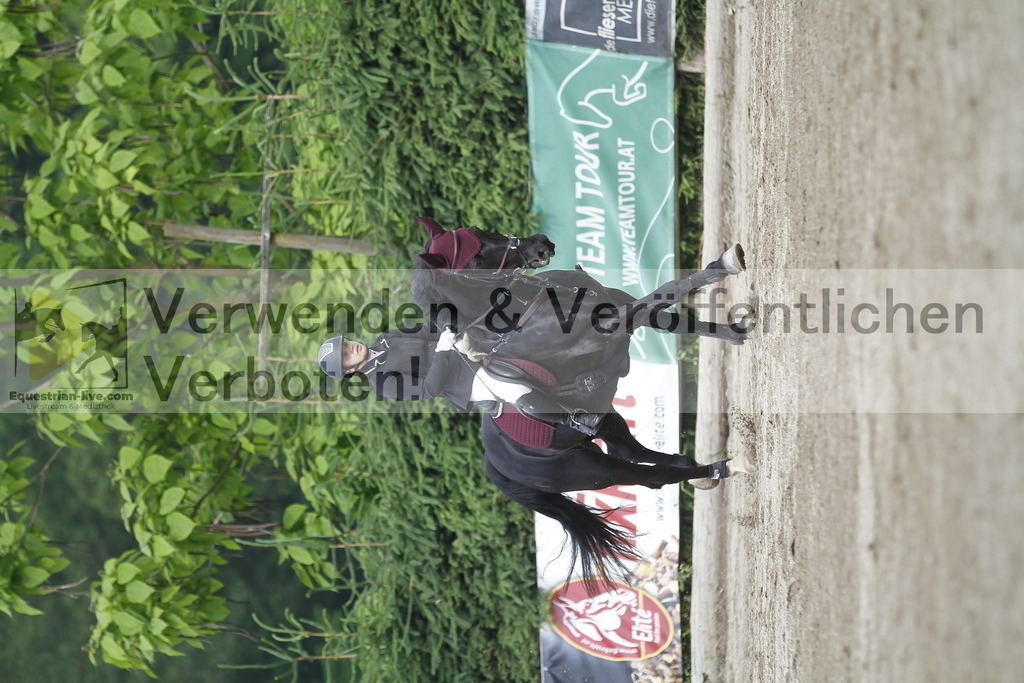 _MG_4361 | equestrian-live-com