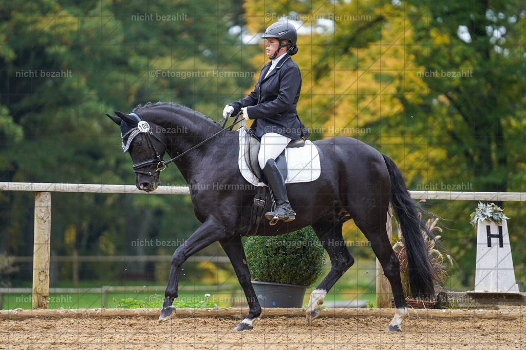 20221008-FAH01669 | Diessen am Ammersee, 2022, Dressur- und Springturnier, Reitsportbilder, Turnierfotografen Bayern, Pferdefotografen, Fotoagentur Herrmann, Turnierbilder