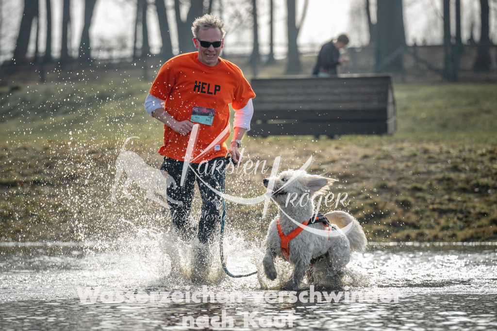 0950_ZZ94186 | kk-dogfotos