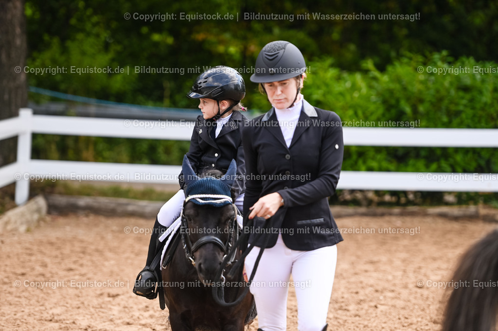 20230716_11_Führzügel-WB_0144 | equistock