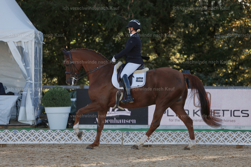 09_1-230-DRESSUR  S_  -StoibPH-5538 | working equitationturnier fotograf videograf stoibphotography marixx film working equitation deutschland reitsport turnierfotografie eventfotografie equestrian events