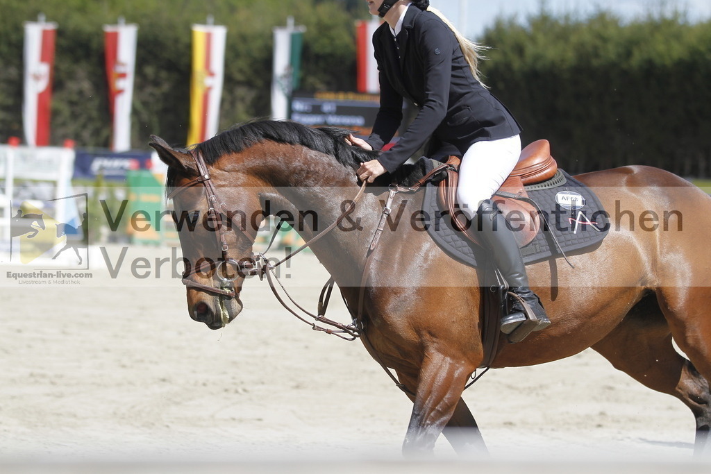 _MG_5515 | equestrian-live-com