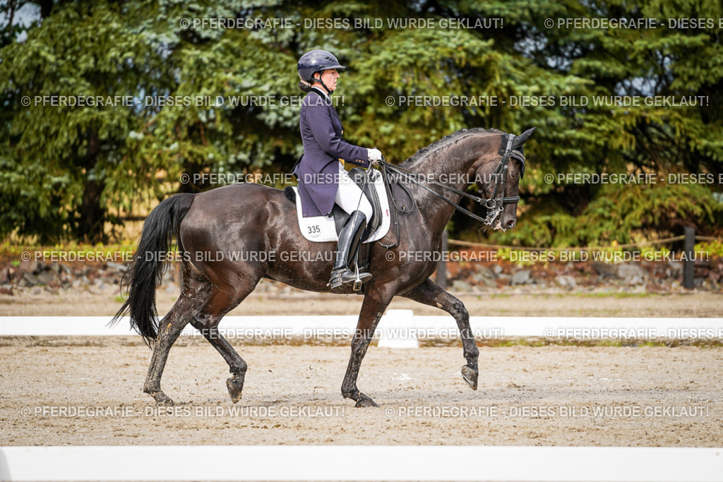 DSC09821 | Pferdegrafie