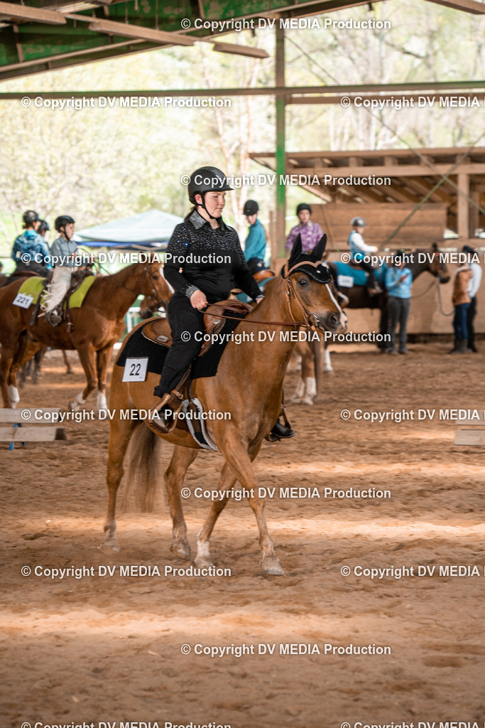 BAL02291 | dv-media-shop - Realisiert mit Pictrs.com