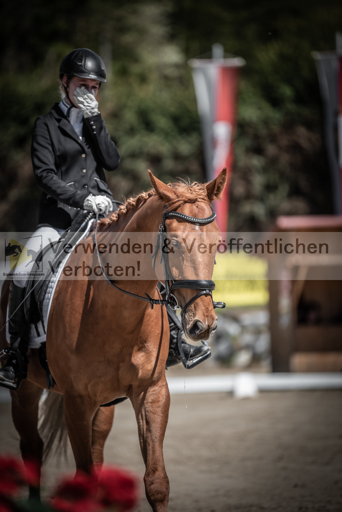 DSC_0139 | equestrian-live-com