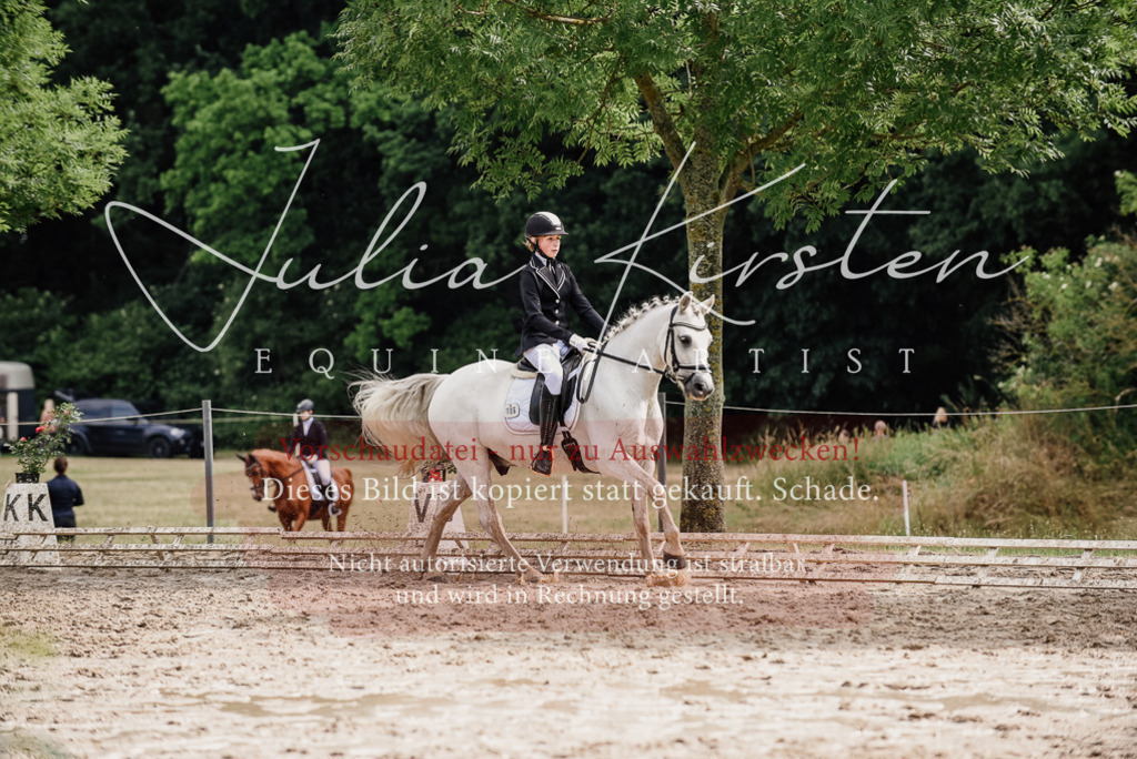 DSC_9469 | Pferde- und Turnierfotografie in Westsachsen. Pferdeportraits, Auftragszeichnungen und intuitive Kunst.