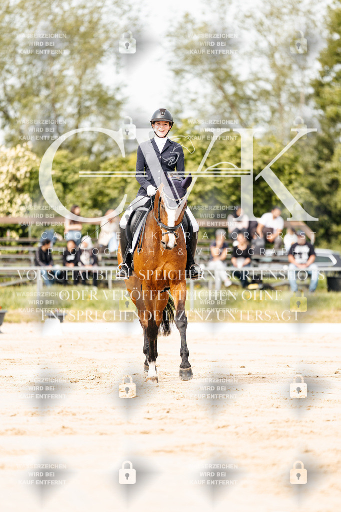 CK900718 | Turnierfotografie Pferdefotografie Trier Rheinland-Pfalz Pferdesport Reitsport Tierfotografie Sportfotografie Pferdevideo Pferdevideografie Equestrianvideography equestrianphotography  - Realisiert mit Pictrs.com