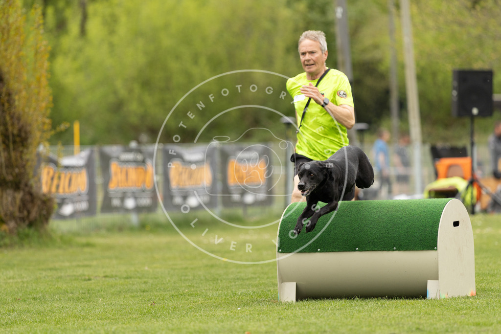 Pfotenfotografie_DV3A9152 | Hundefotografie, Tierfotograf, Pfotenfotografie, Fotoshooting Hund, Hunde Portrait, Hundesport, Hundeportraits, Heideshooting, Hunde, Sportfotograf, Hundefotograf, Turnierhundsport, THS,  - Realisiert mit Pictrs.com